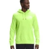 'The North Face' Men's Box NSE Pullover Hoodie - Sharp Green -Fashion Clothing Store NF0A4761 HDD back 1024x1024@2x